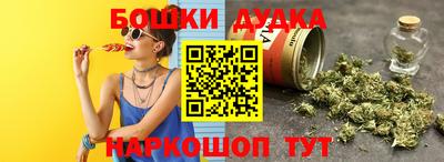 СК Дубна
