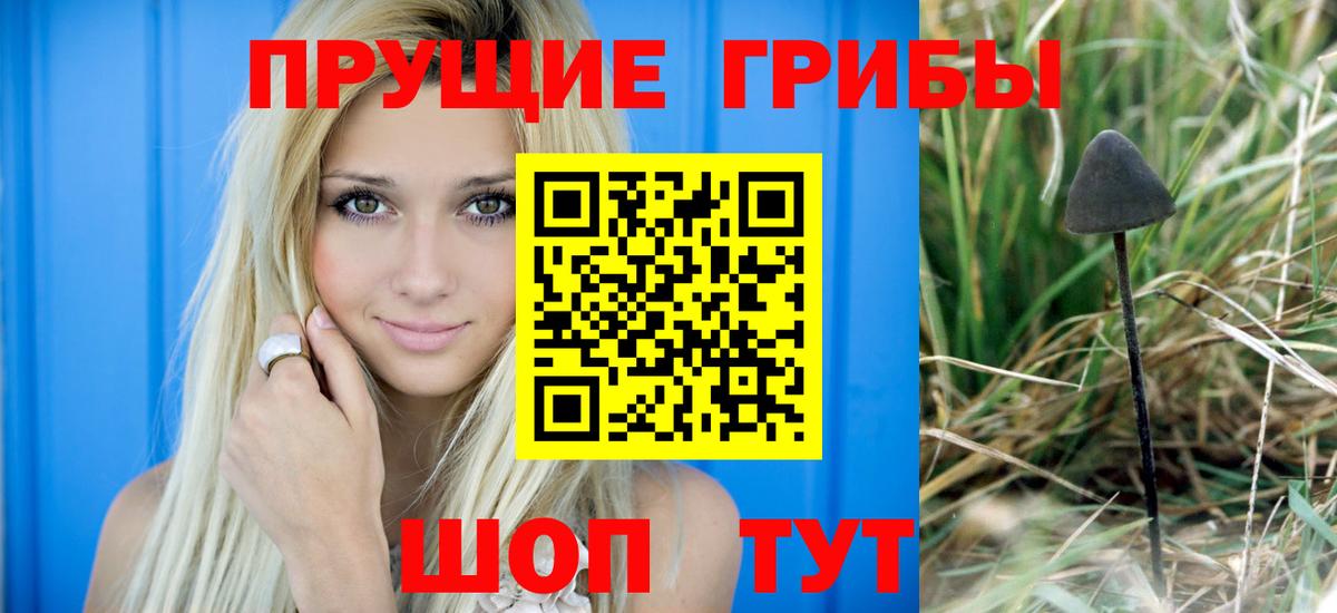 Псилоцибиновые грибы прущие грибы Нефтеюганск