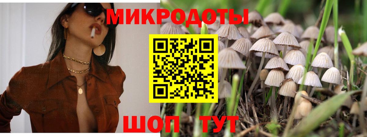 Галлюциногенные грибы ЛСД  Вход с VPN  Нефтеюганск  купить наркотики сайты  Псилоцибиновые грибы Magic Shrooms 